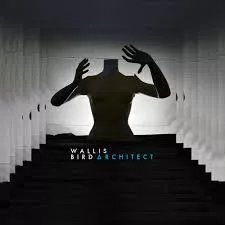 Architect - Wallis Bird