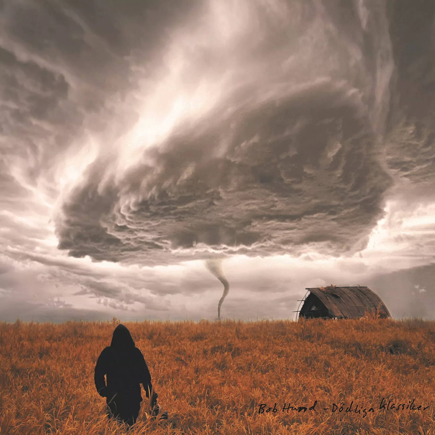 Det svenske gadekryds spænder ben for sig selv