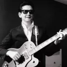 Ny bille-art opkaldt efter Roy Orbison