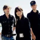 Swan Lee udsender opsamling