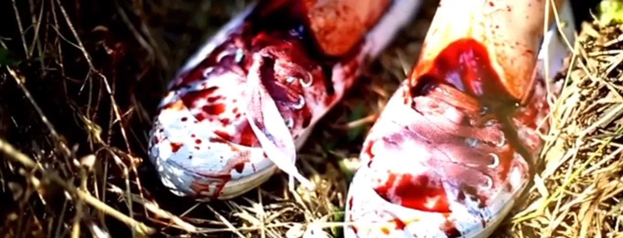 Vacker skogspromenad slutar i blodbad