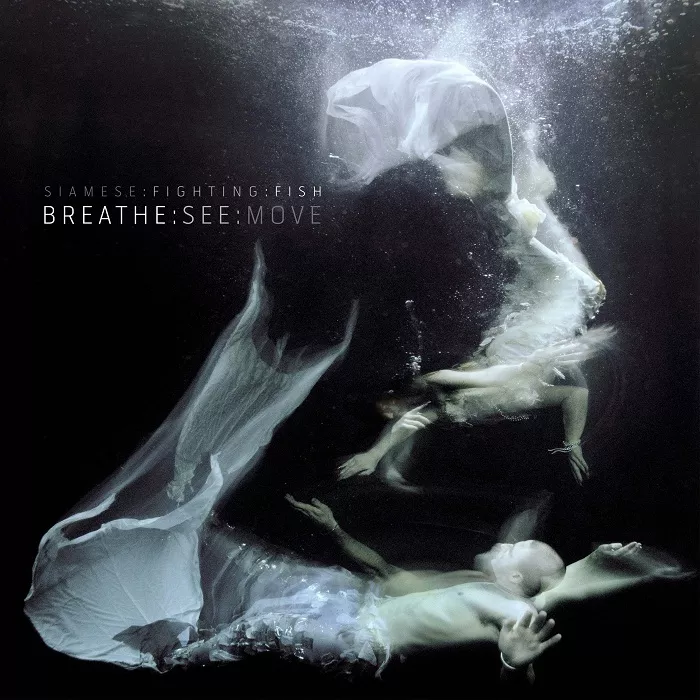 Breathe:See:Move - Siamese Fighting Fish