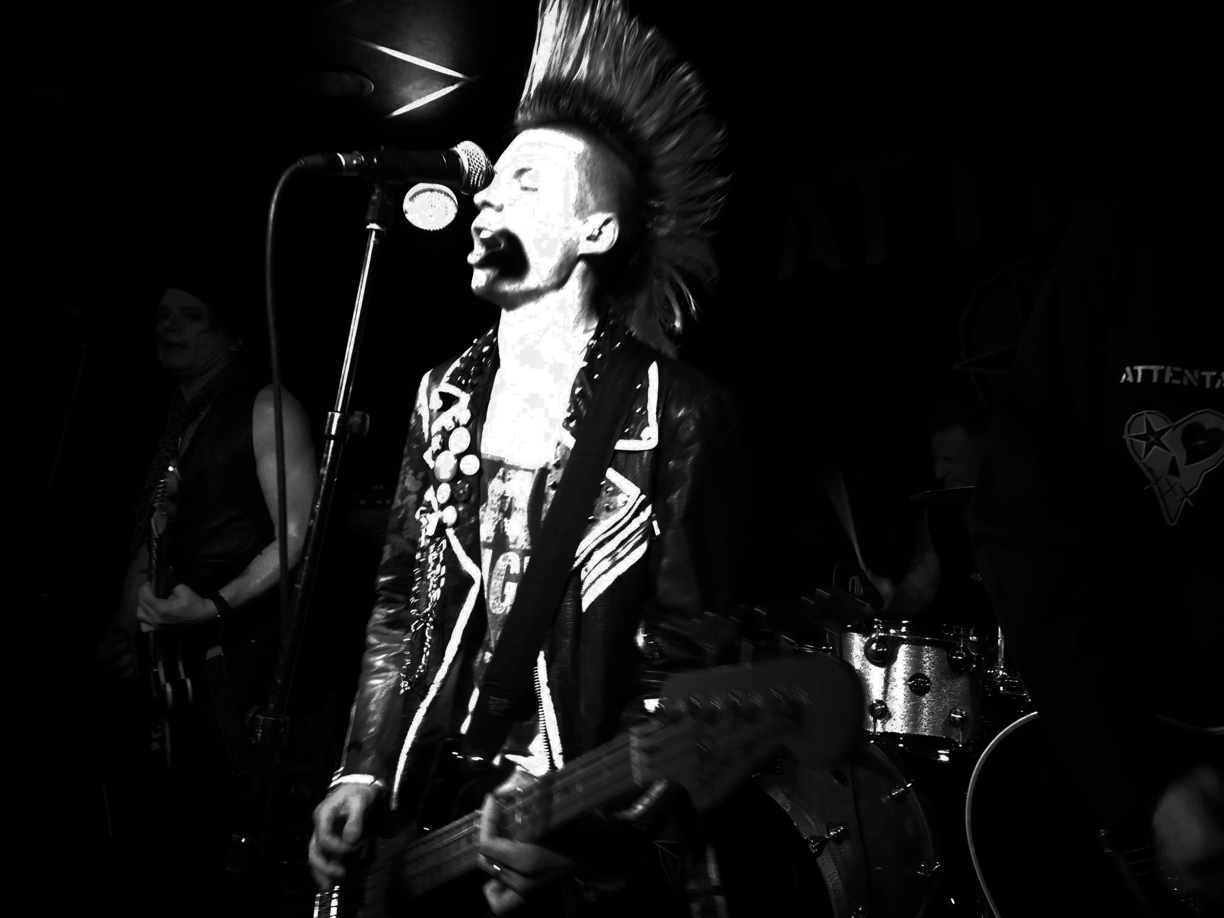 En fantastisk kavalkad av tre timmar punkmusik