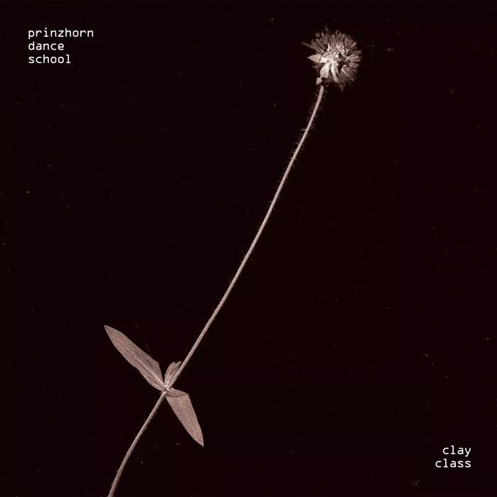 Clay Class - Prinzhorn Dance School