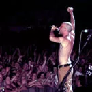 Gratis R.E.M.- og Wilco- koncert på søndag