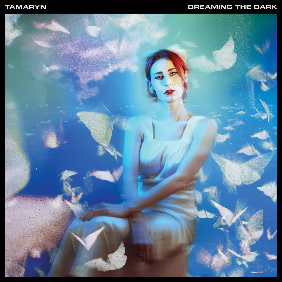 Dreaming The Dark - Tamaryn