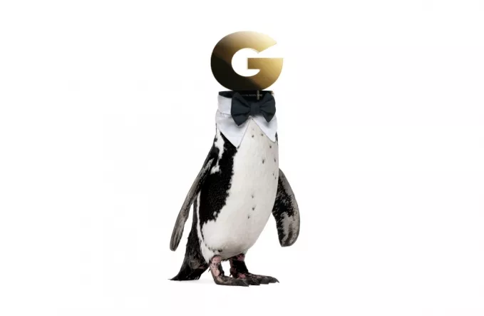 Stem på GAFFA-Prisen 2014!