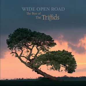 Wide Open Road – The Best Of The Triffids - The Triffids