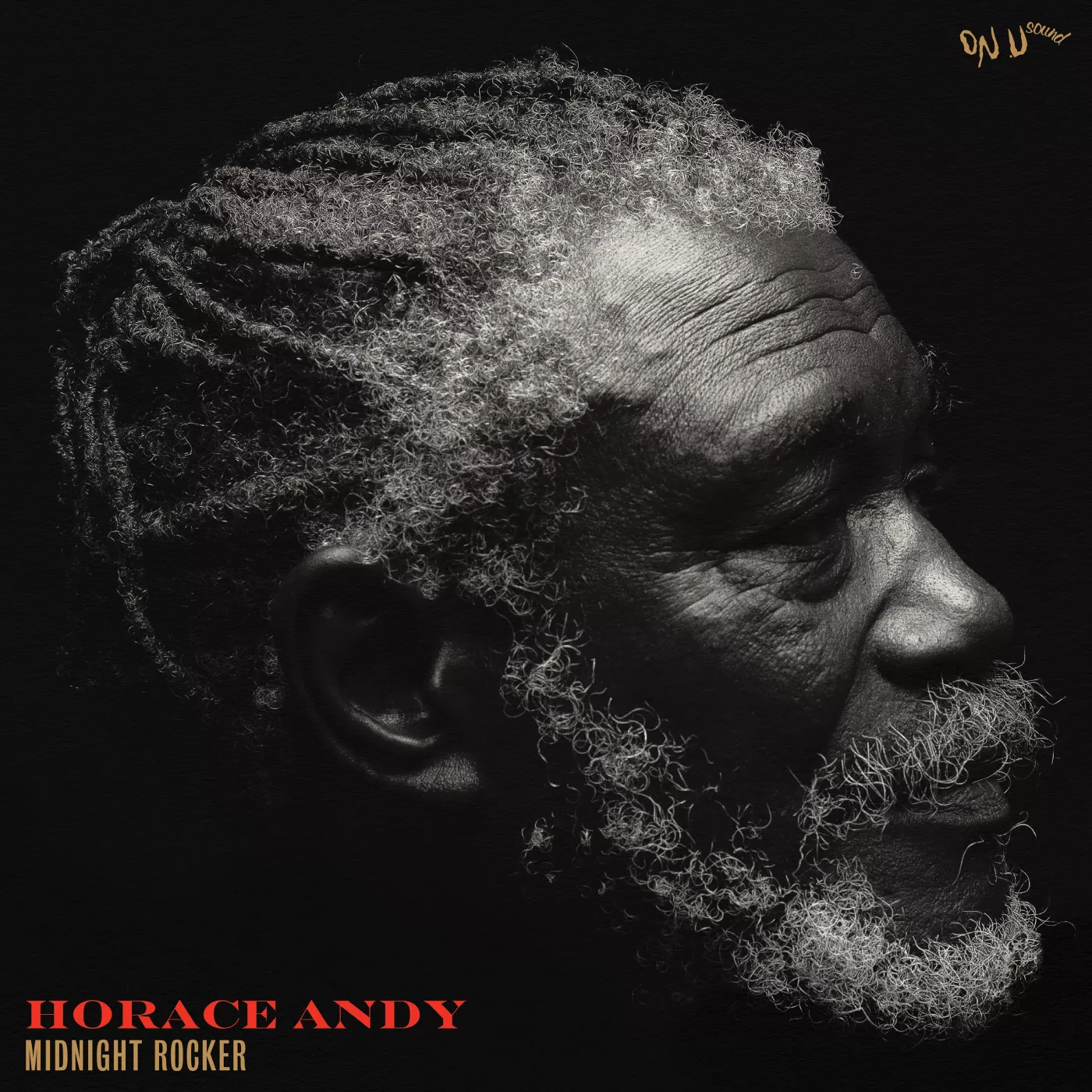 ANMELDELSE: Horace Andy leverer atter i en alder af 71 år
