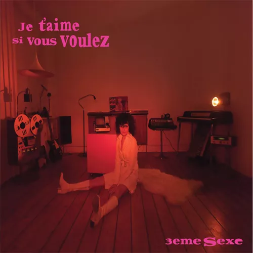 Je T'Aime Si Vous Voulez - 3eme Sexe