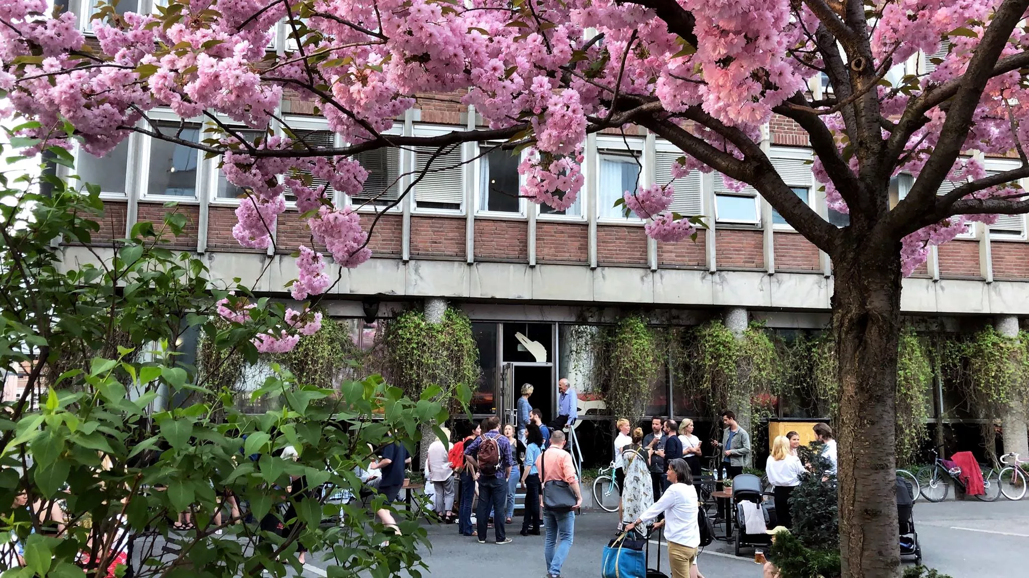 Her skal ny pop-up-festival i Oslo arrangeres