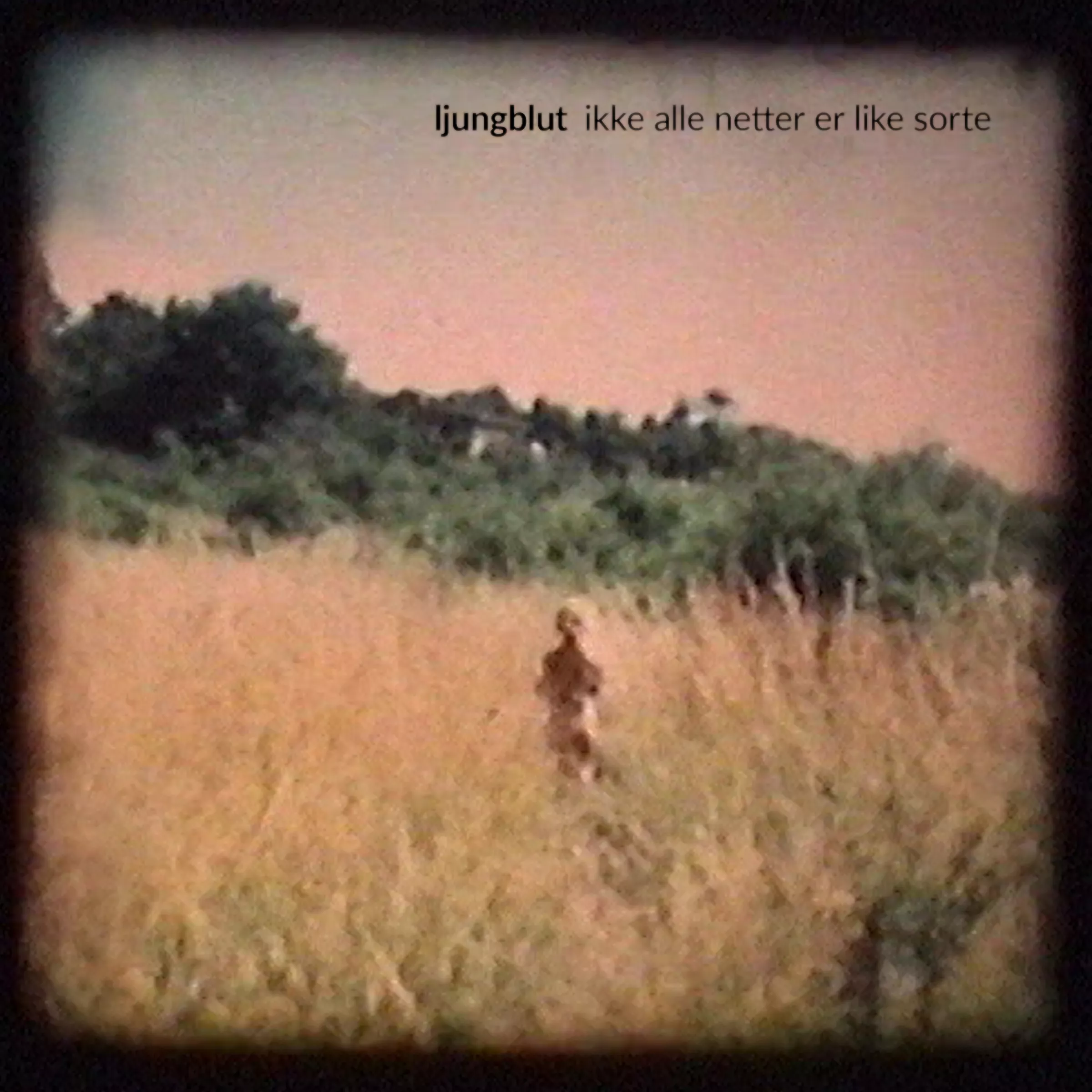 Ikke Alle Netter Er Like Sorte - Ljungblut