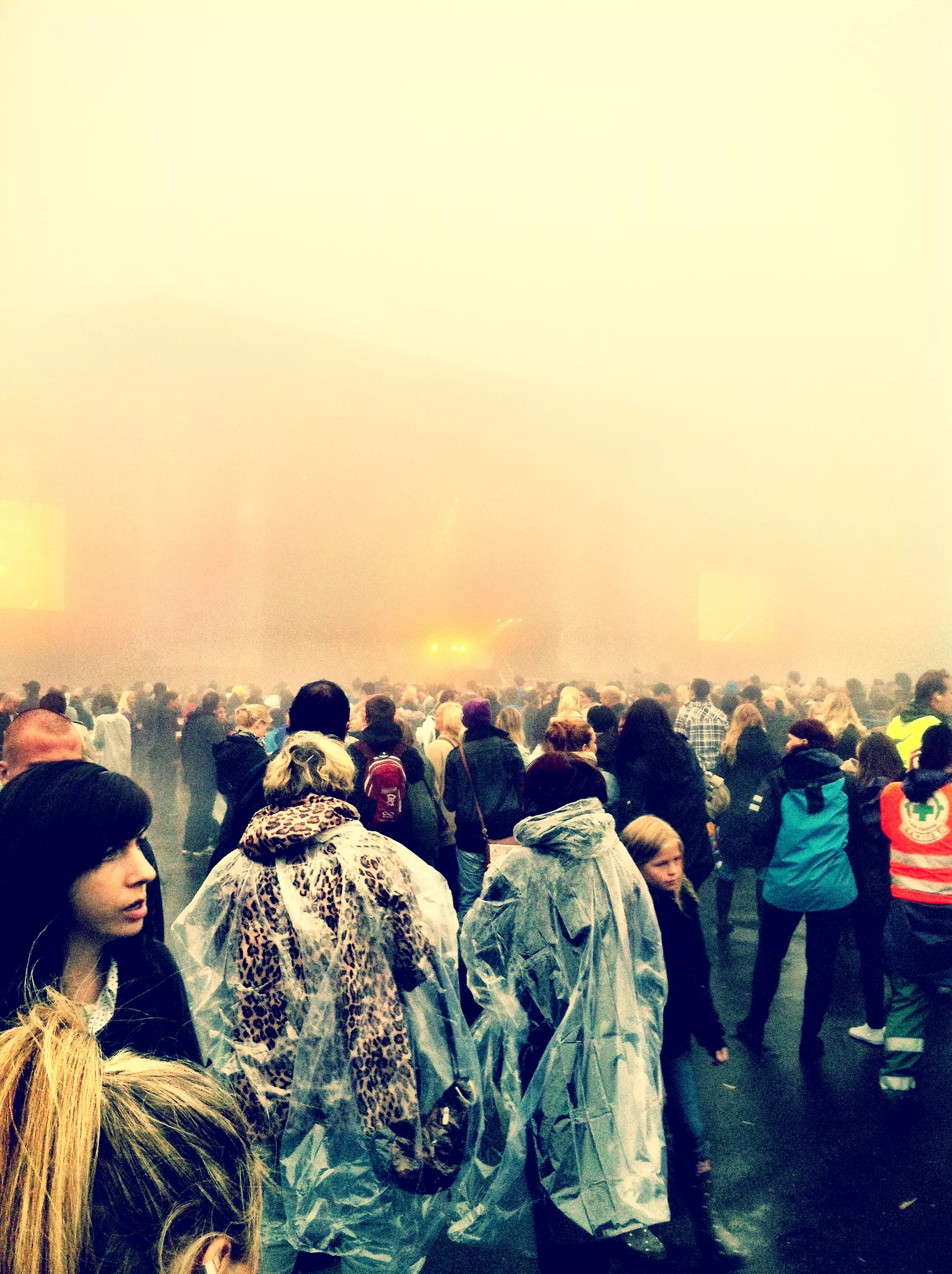 Tåkete Kollen-debut