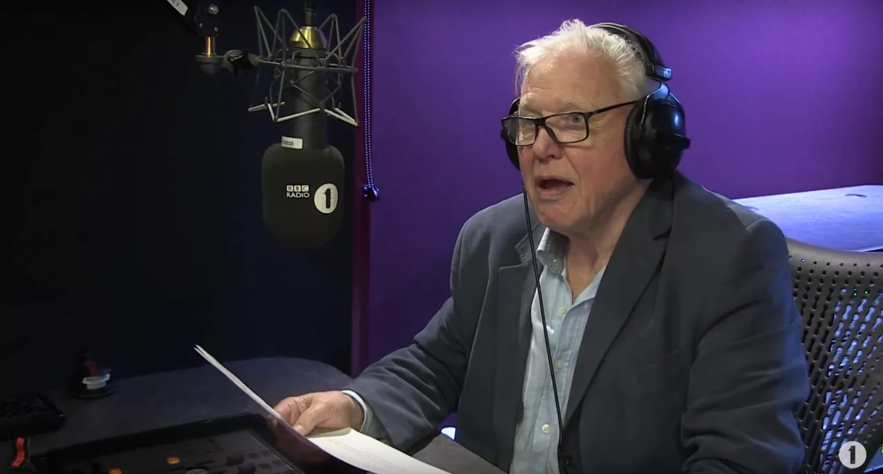 David Attenborough kommenterer Adeles musikkvideo