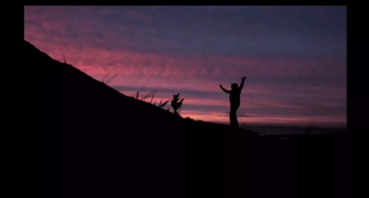 Hør nyt nummer med David Gray