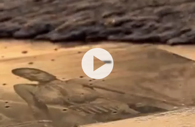 Se Nicki Minajs Anaconda læst op som dramatisk digt