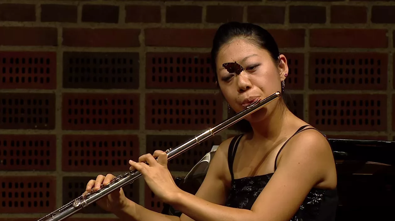 Se när fjärilen försöker sänka flöjtisten – och förlorar