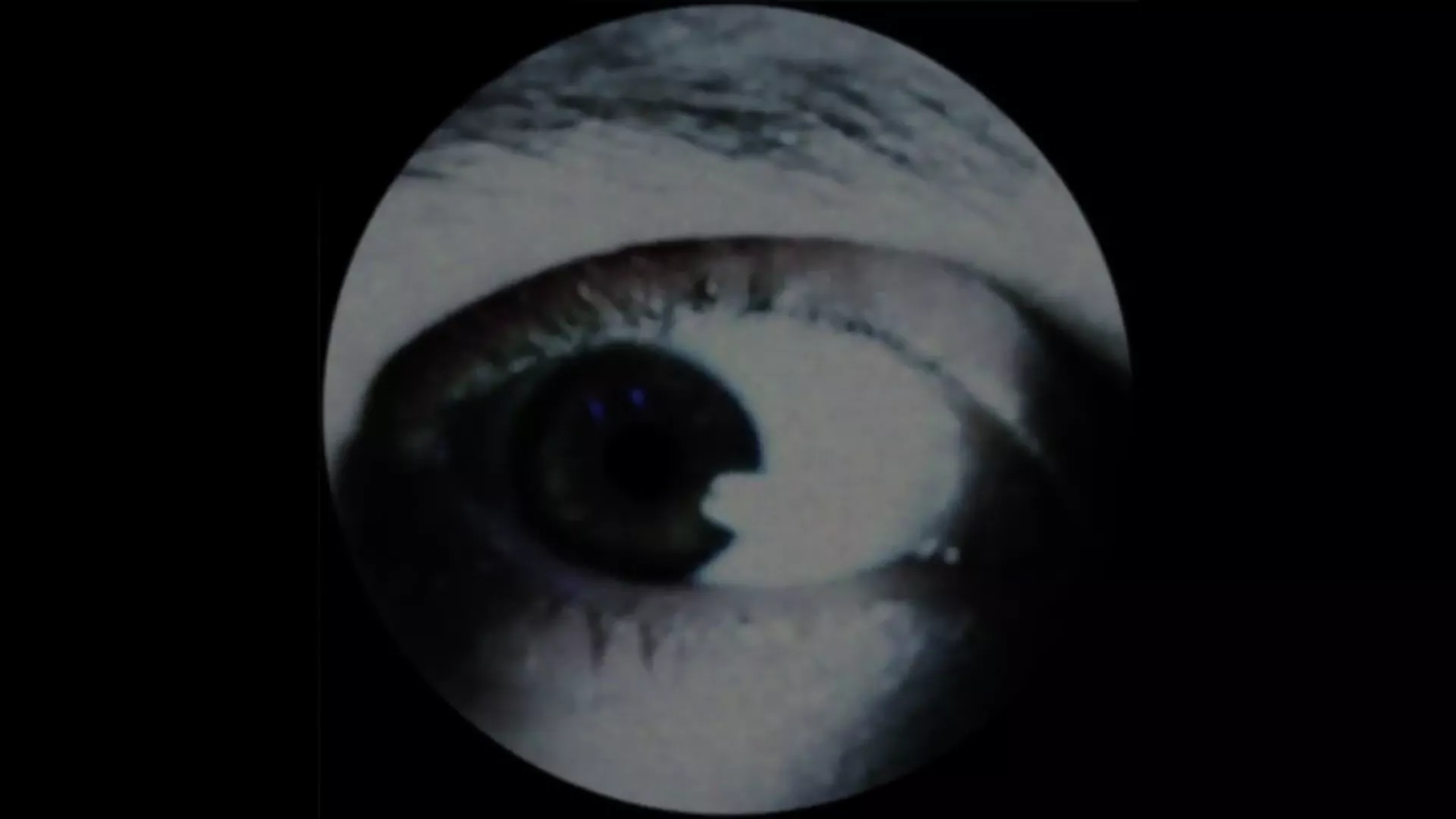 VIDEOPREMIÄR: Kriget - Choke And Feed 