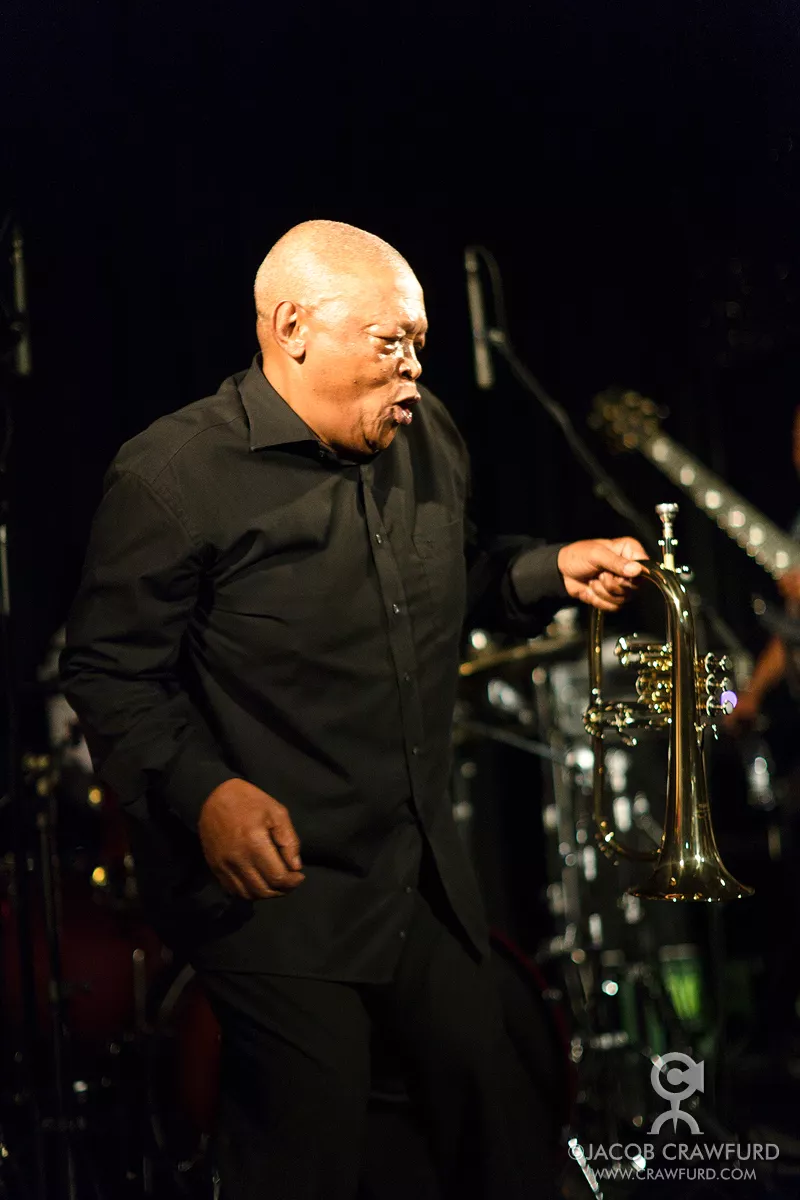 Efter WOMEX: Tillykke til Verdensmusik DK