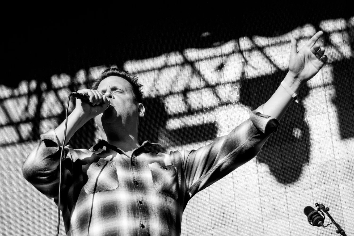 Hyllad indietrubadur till Sverige