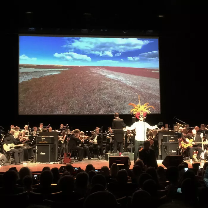 Malmö Opera - Bob Hund