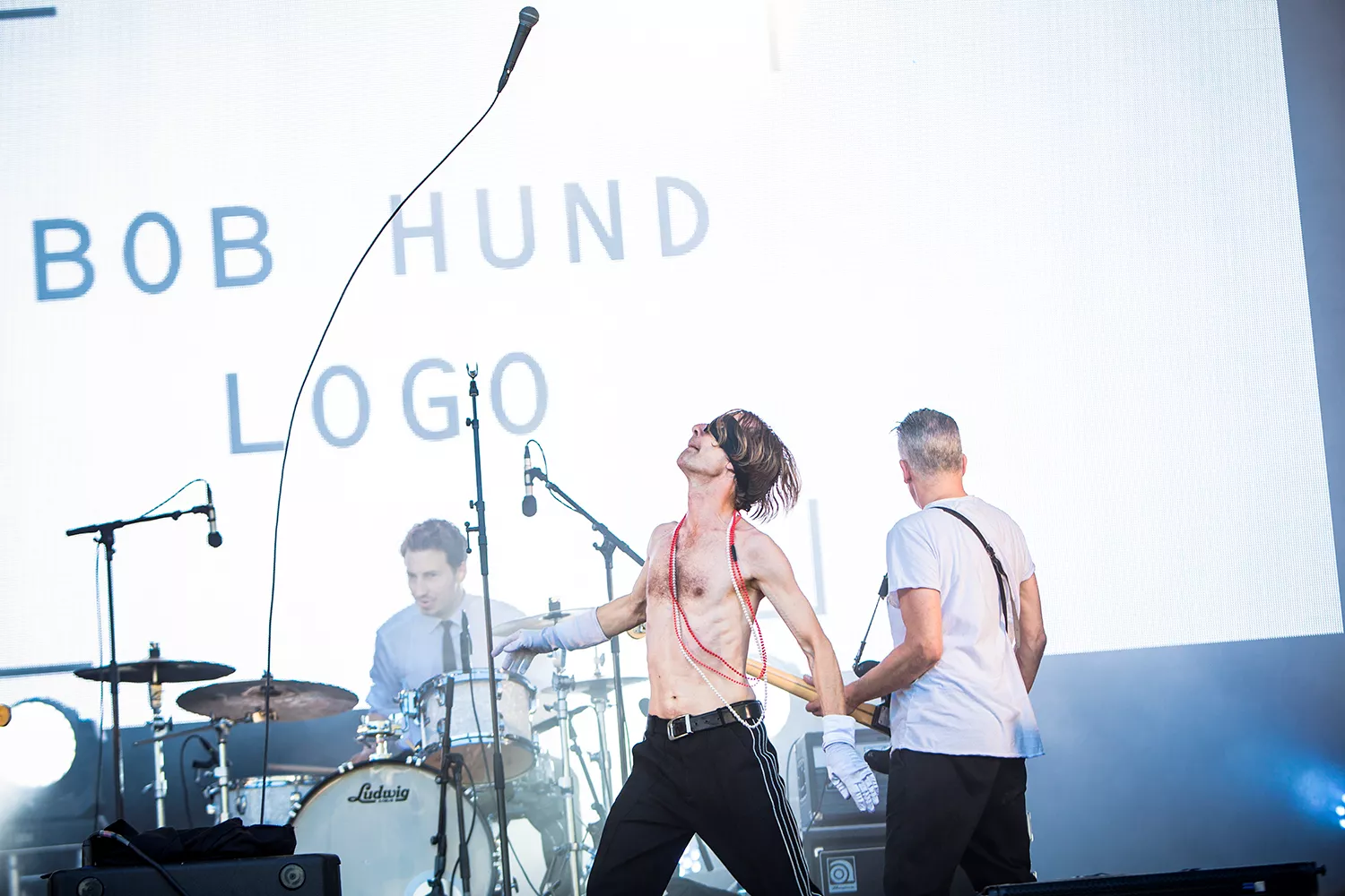 Martin Kann om Bob Hunds nya speciella omslag – "formen kan ändras i oändlighet"