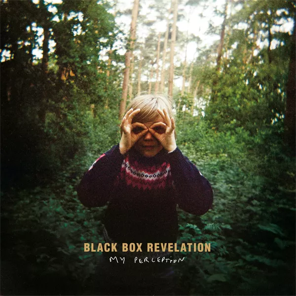 My Perception - Black Box Revelation
