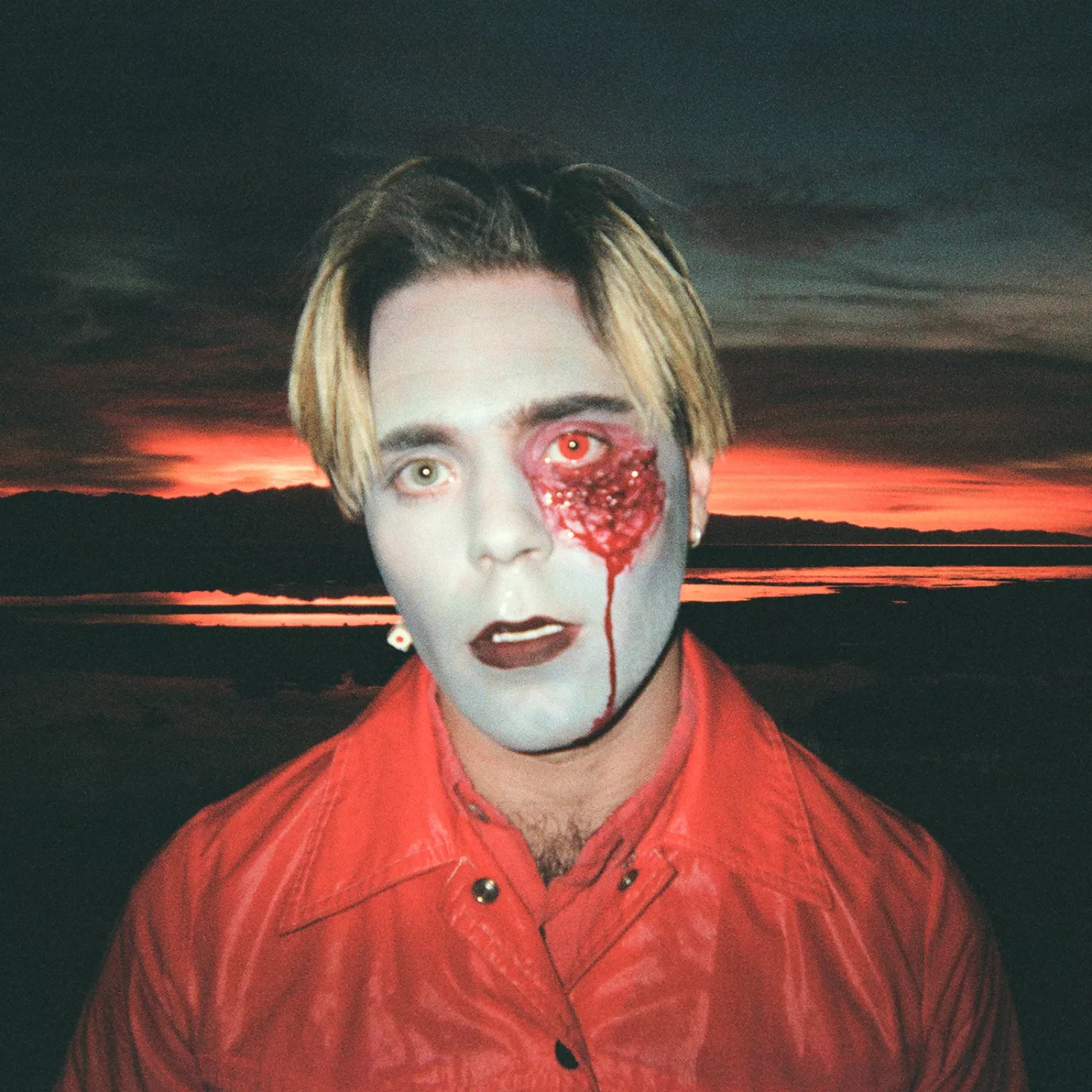 Gathering Swans - Choir Boy