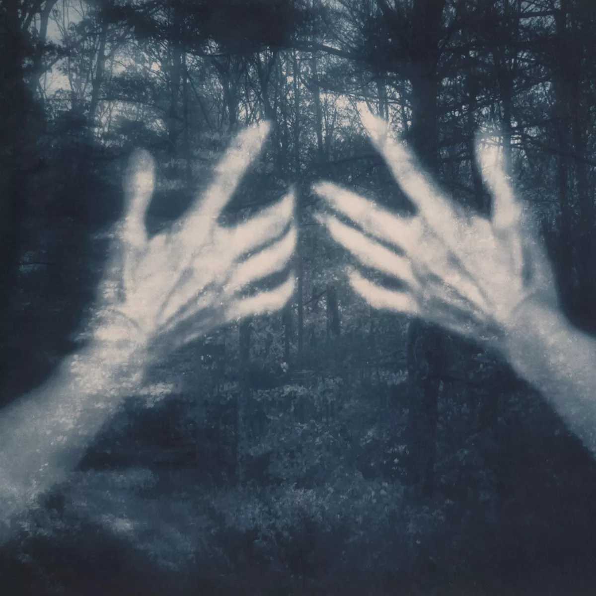 All The Birds And A Telephone Ringing - Susana Santos Silva