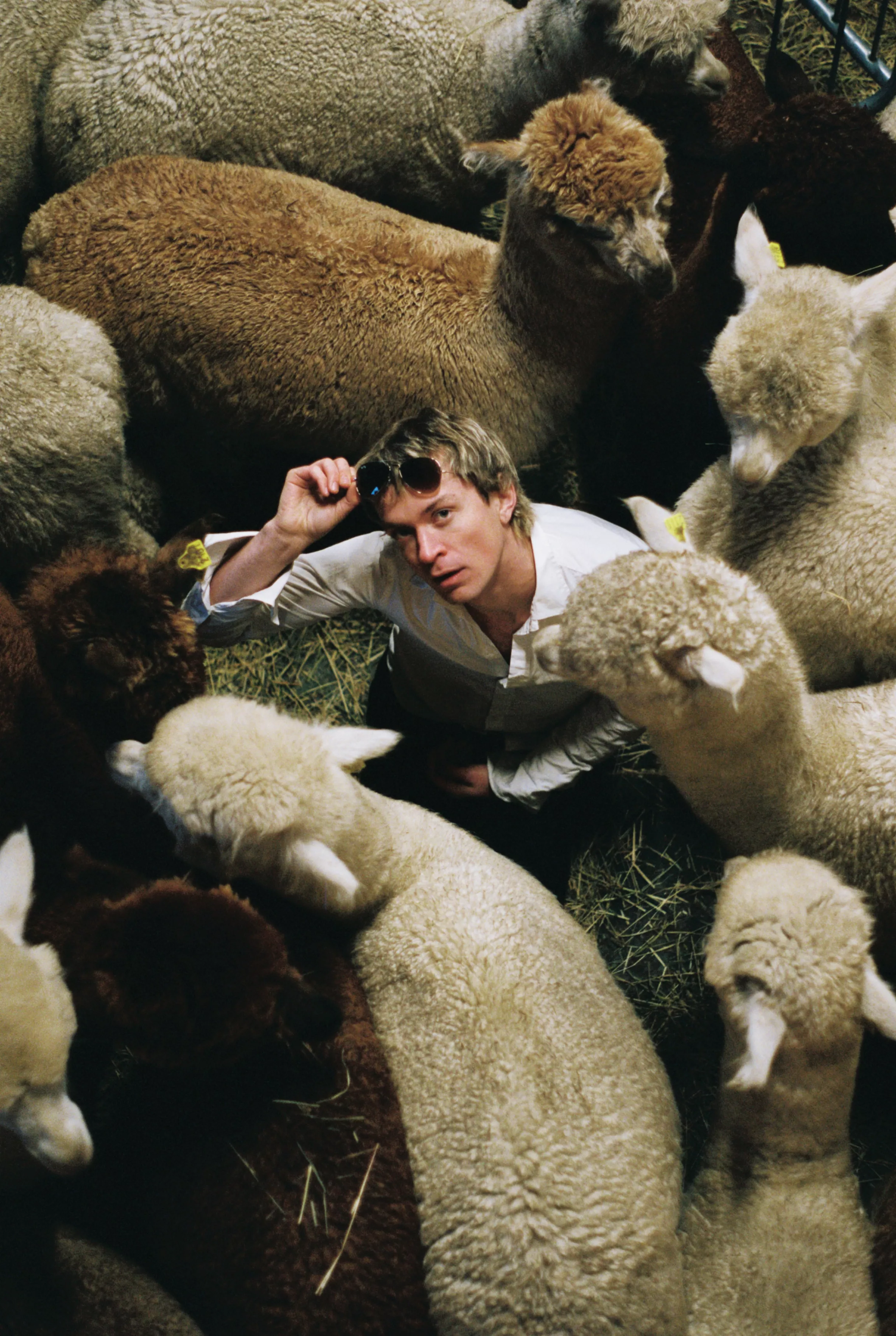 Ikke alle kan bo i LA