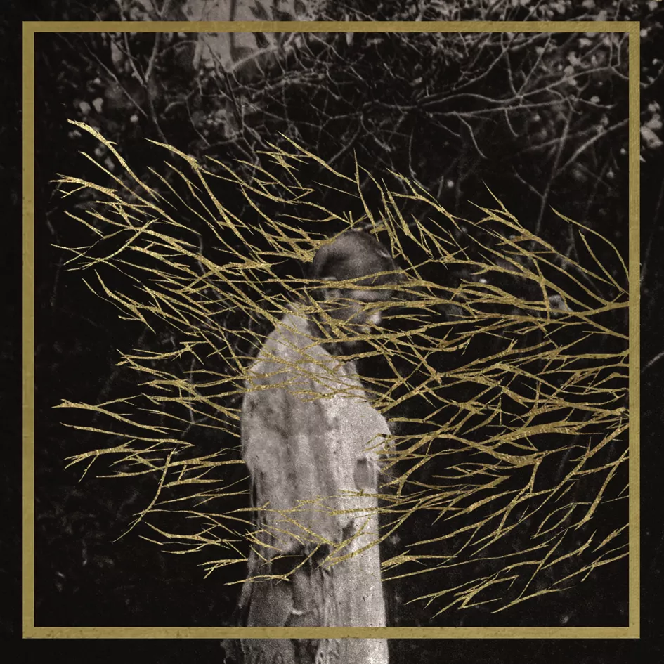 Engravings - Forest Swords