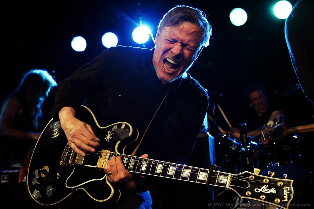 Swans: Strand Stockholm