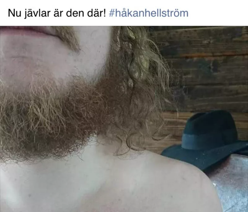 Tatuerade Håkan Hellström-citat i protest – här är resultatet