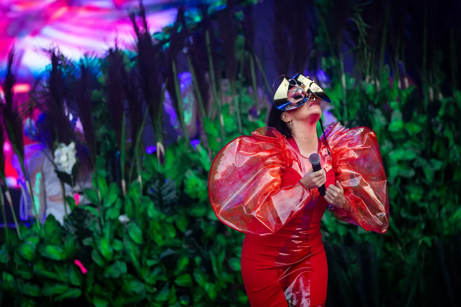 Derfor anmelder GAFFA ikke Björk