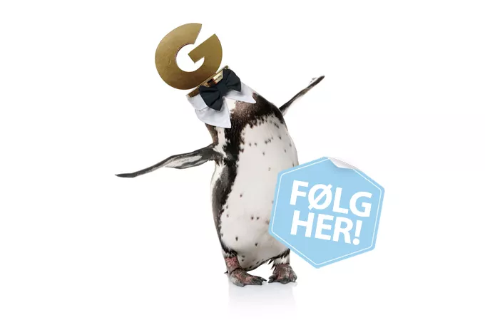Følg GAFFA-Prisen 2013 her