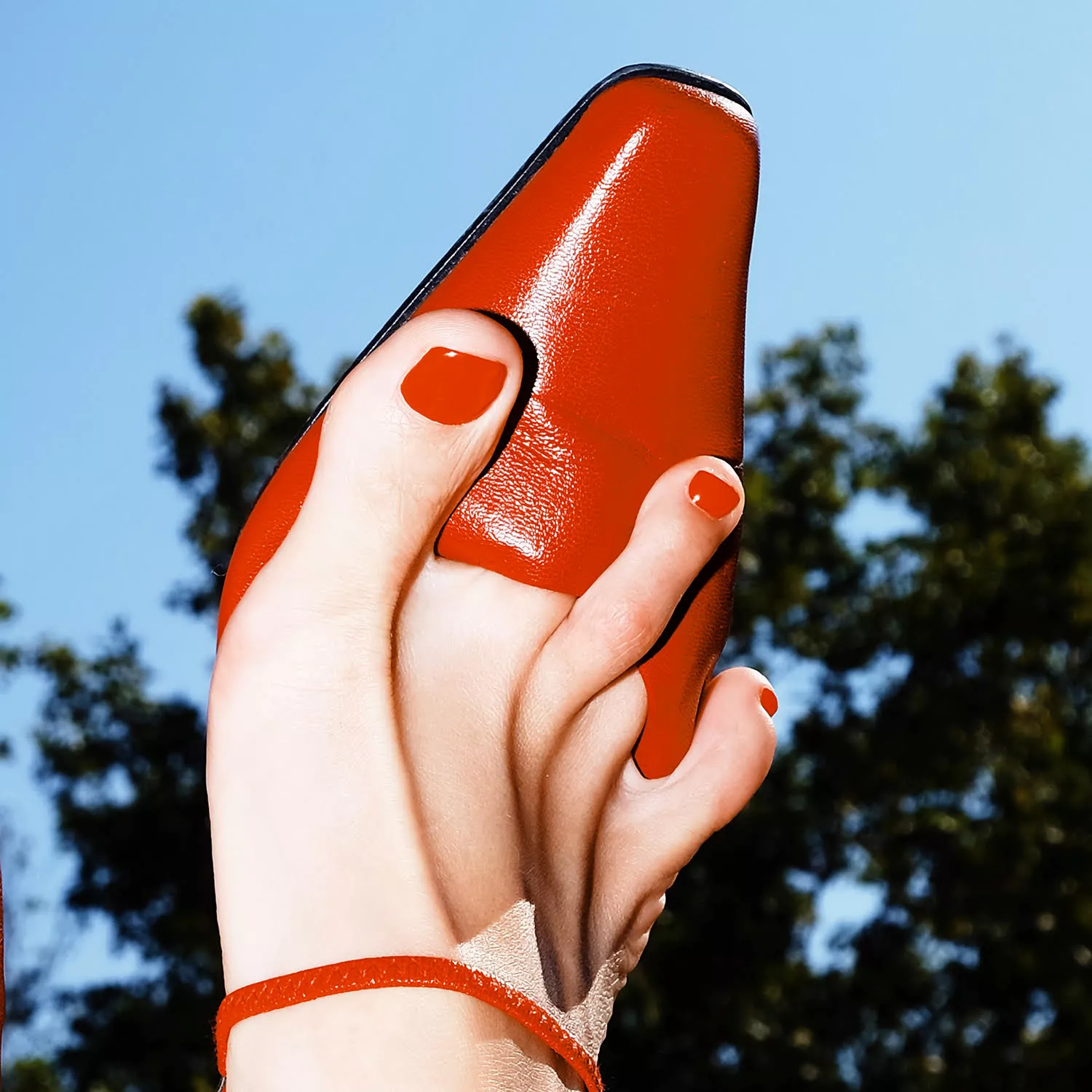 No Shame No Fame - Kindsight