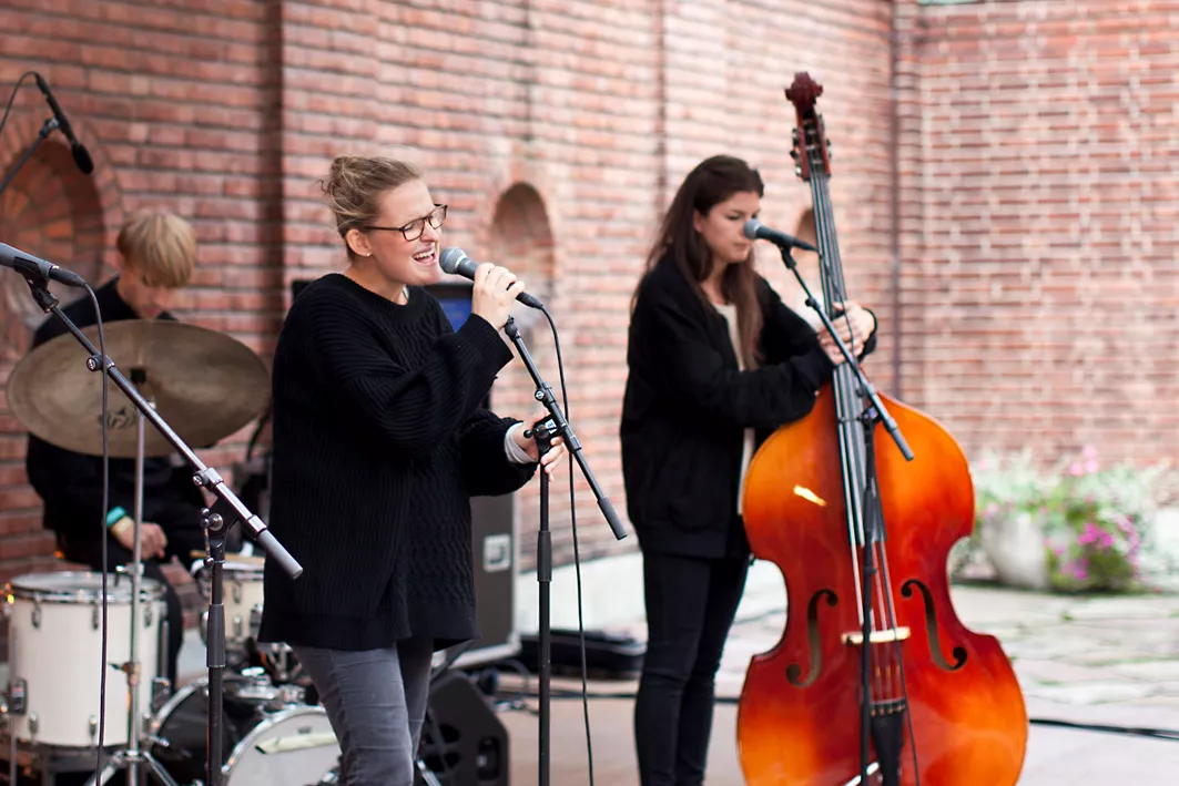 No. 4: Borggården, Piknik i Parken