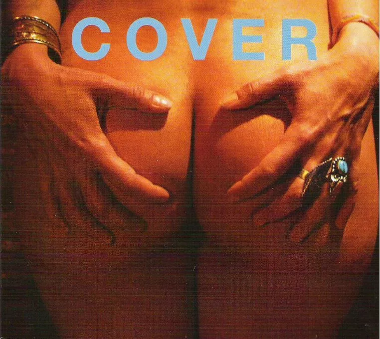 Cover - Joan As Police Woman