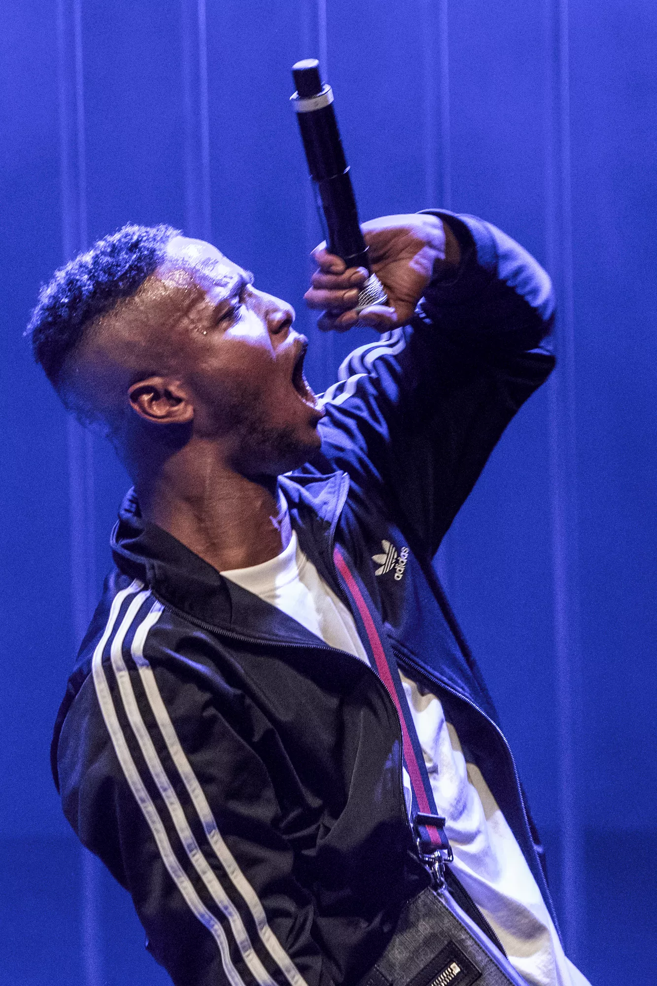 Jamaika er nu anholdt og sigtet