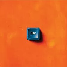 Kravler før vi går  - Downtown July