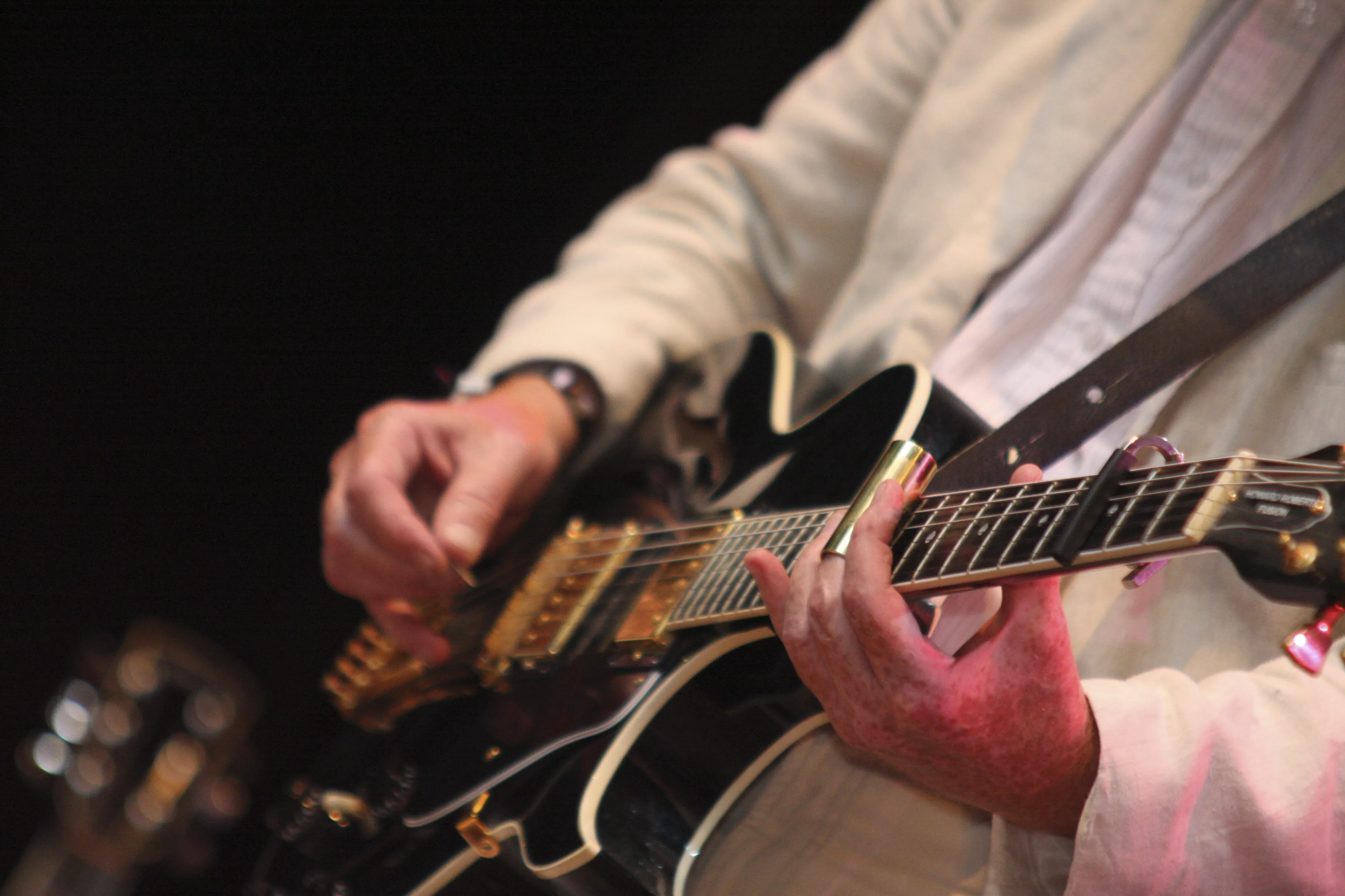 Delta Blues Band : Nibe Festival, Reservatet