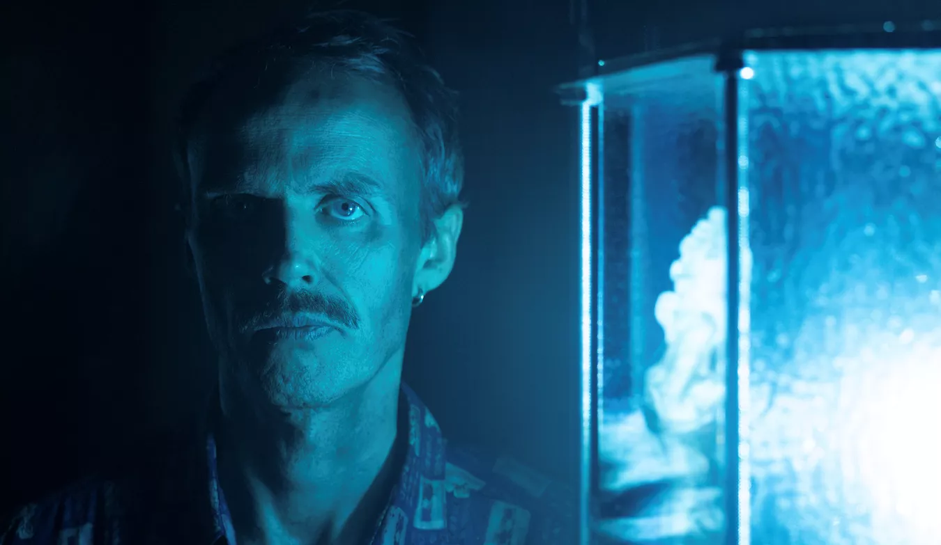  Den Sorte Skole undersøger den blå time i Christiansborg Slotskirke