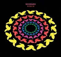 The Sufi Rock'n'Roll - Rocqawali