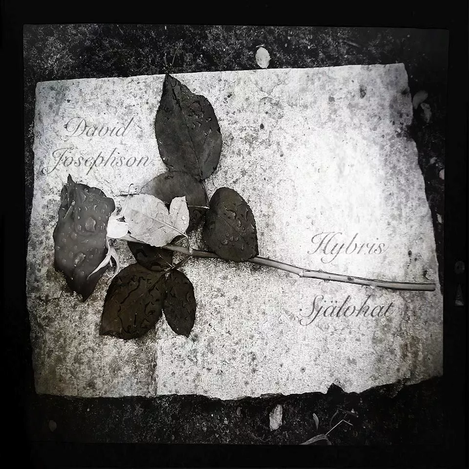 Hybris & Självhat - David Josephson