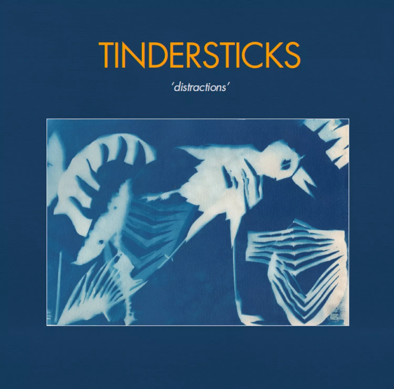 En udda blomma i Tindersticks-rabatten 