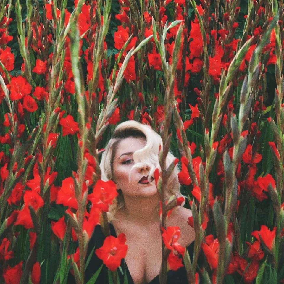 Late Night Stories - Cornelia Jakobs