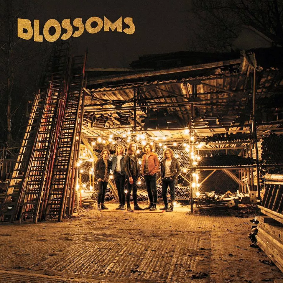 Blossoms - Blossoms