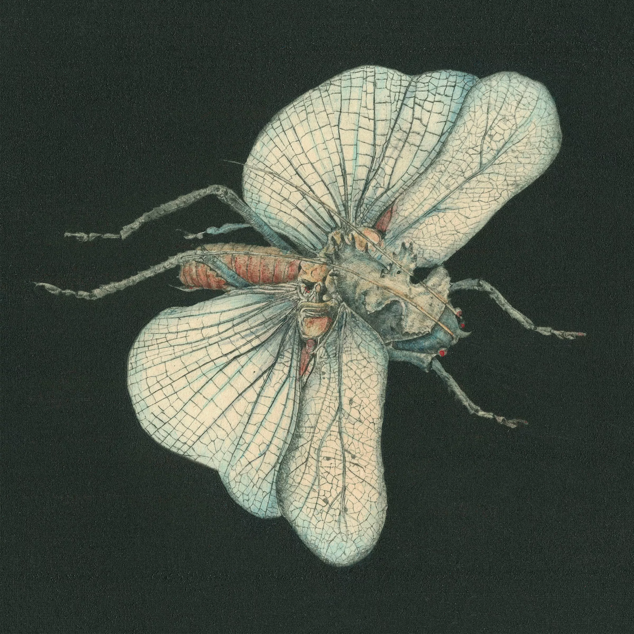 Go Dig My Grave - Susanna