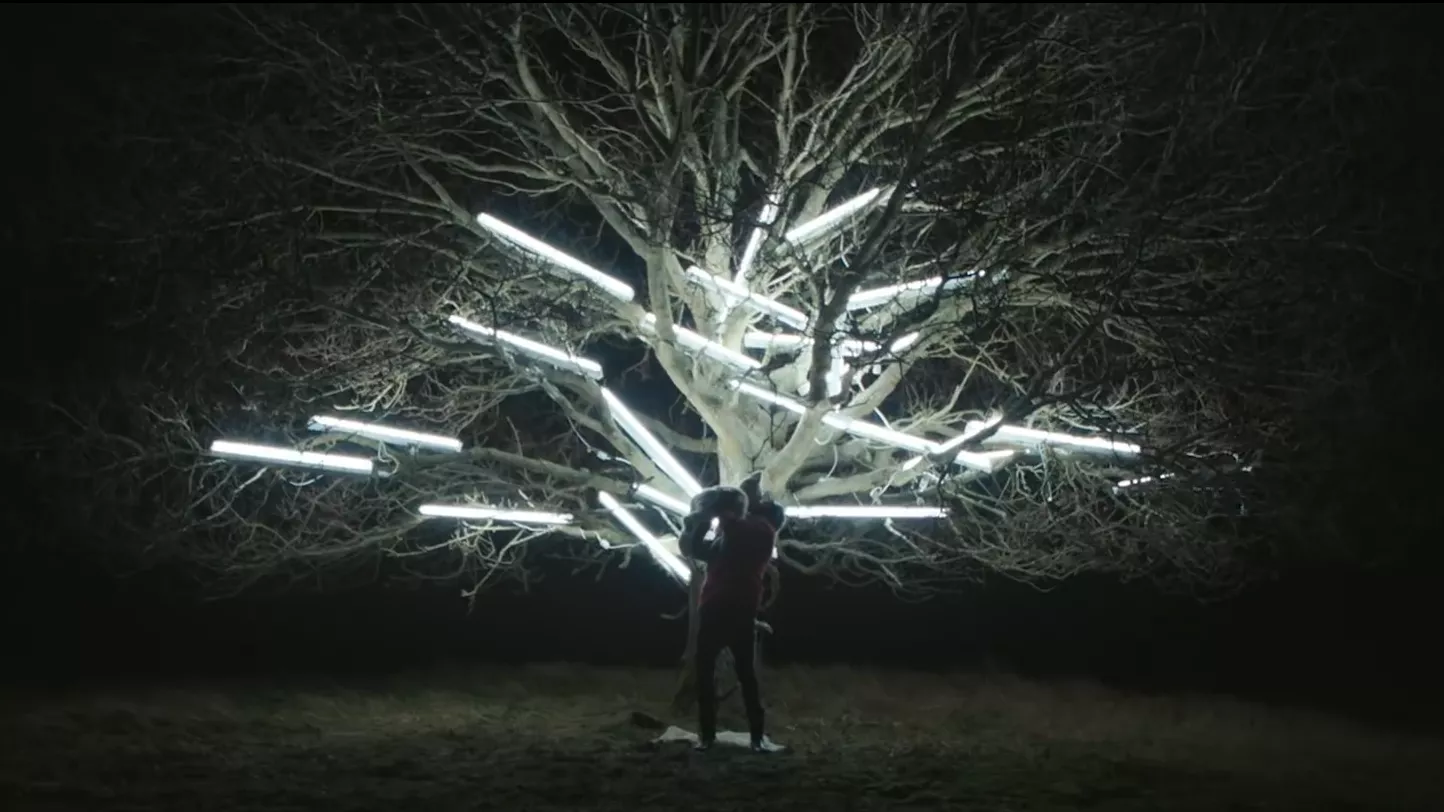 VIDEO: Dansk musiker skifter fra elektronika og hiphop til country