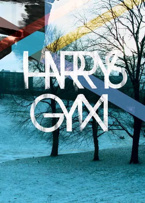 Harrys Gym - Harrys Gym